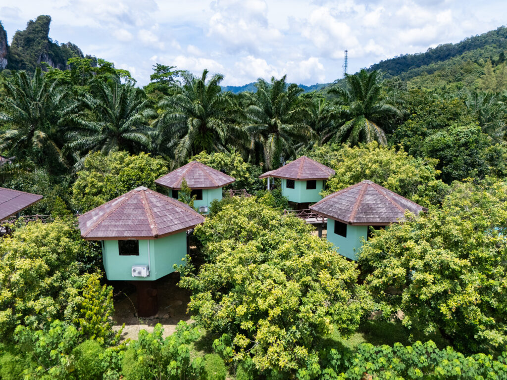 Standard Mountain View Bungalow