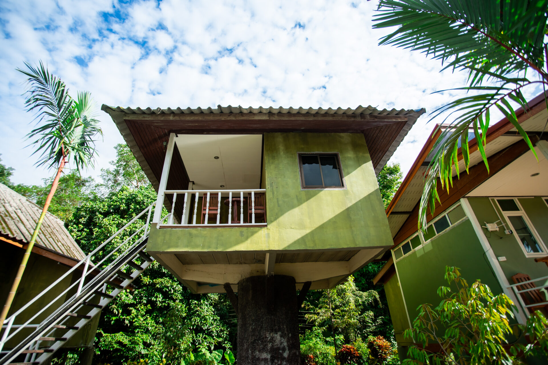 Tree-house Hut